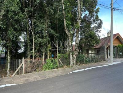 imagem-miniatura