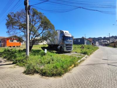 imagem-miniatura