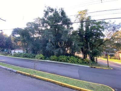 imagem-miniatura