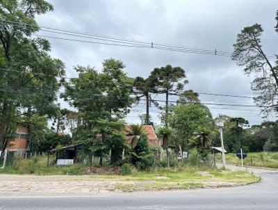 Terreno para Venda, em Canela, bairro So Jos
