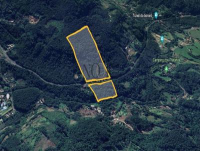 rea para Venda, em Trs Coroas, bairro RS-115