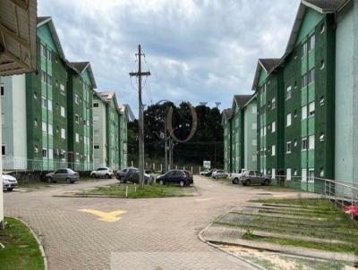 imagem-miniatura