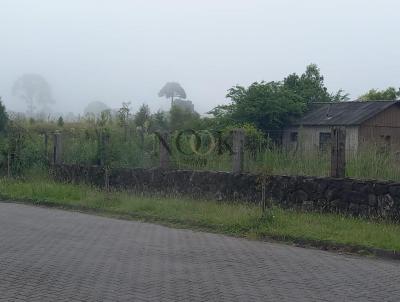 Terreno para Venda, em Canela, bairro Dante