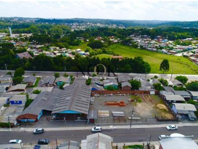 Terreno para Venda, em Canela, bairro Canelinha
