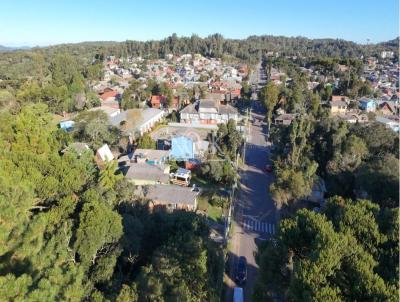 rea para Venda, em Canela, bairro Sesi