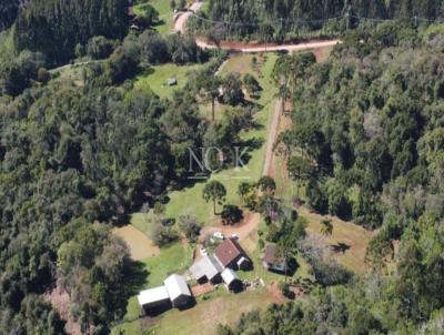 rea para Venda, em Gramado, bairro Linha vila