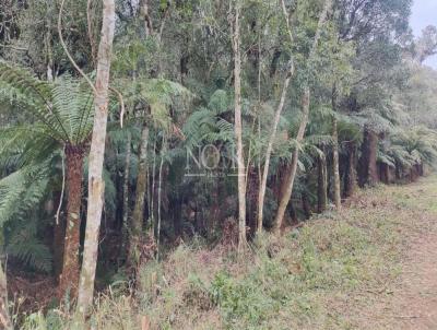 Terreno para Venda, em So Francisco de Paula, bairro Colinas