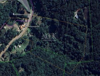 S�tio para Venda, em Canela, bairro Banhado Grande