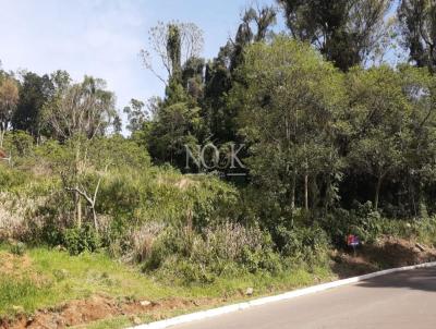 Terreno para Venda, em Gramado, bairro V�rzea Grande