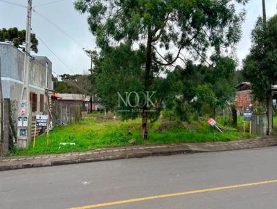 Terreno para Venda, em Canela, bairro Eug�nio Ferreira
