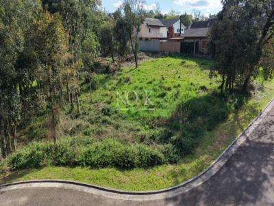 Terreno para Venda, em Gramado, bairro Carniel