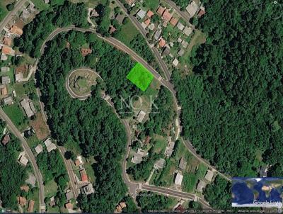 imagem-miniatura