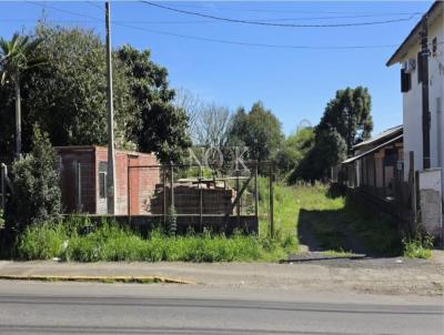 Terreno para Venda, em Canela, bairro S�o Jos�