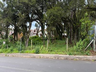 Terreno para Venda, em Canela, bairro Maggi